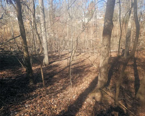 $272,300 | 0 Bob White Drive, Waterloo, SC 29384