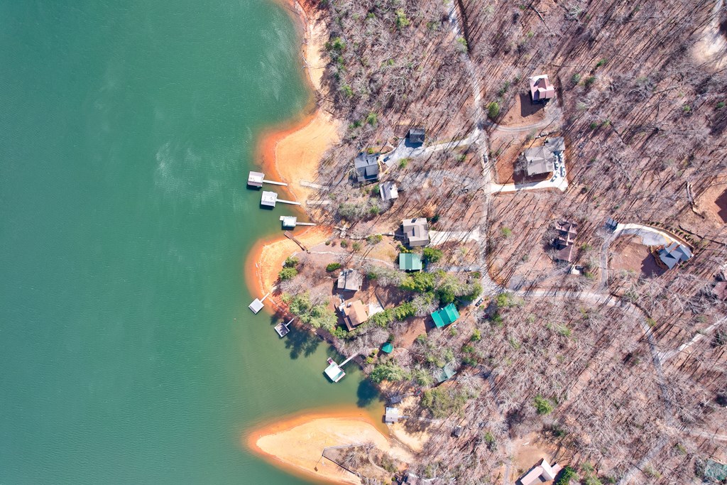 1601 Shady Falls Road Blue Ridge, GA 30513 - Photo 2 of 78 a close up of a flower in a garden