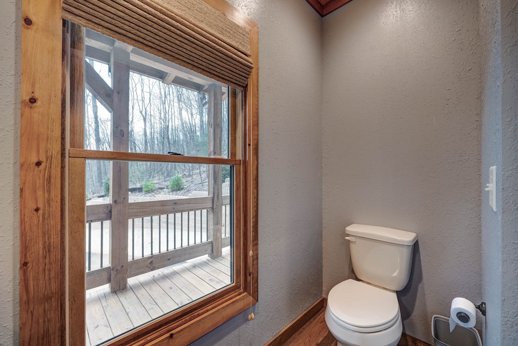 1601 Shady Falls Road Blue Ridge, GA 30513 - Photo 30 of 78