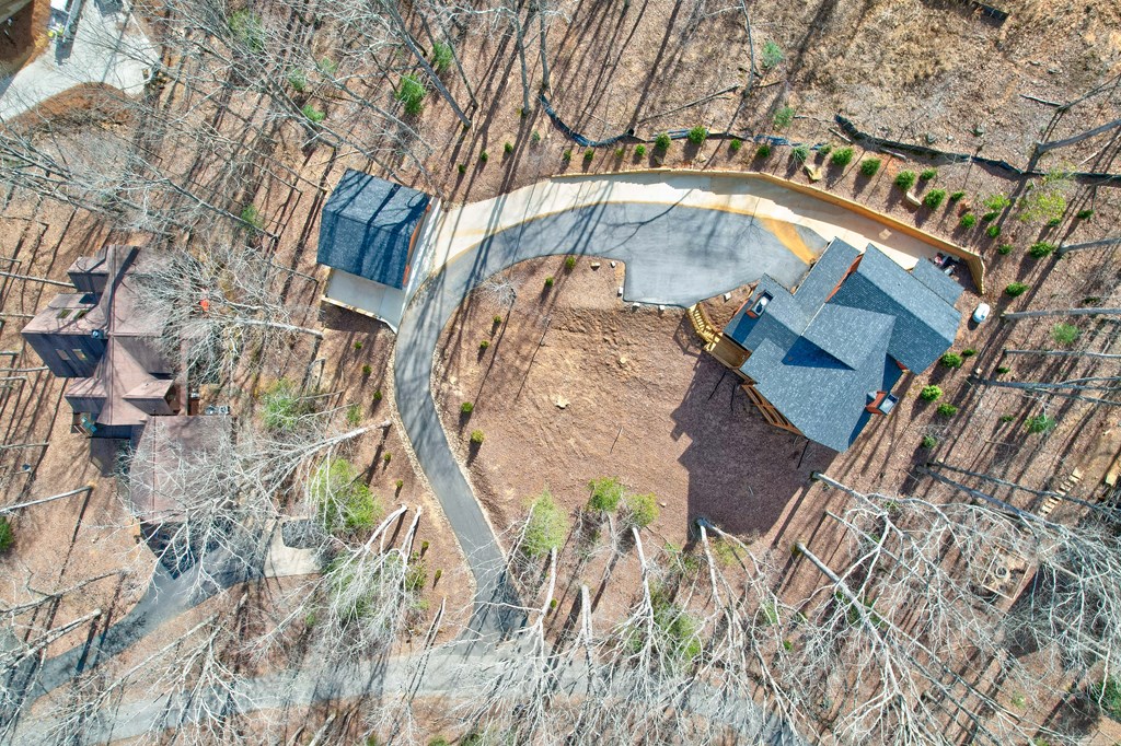 1601 Shady Falls Road Blue Ridge, GA 30513 - Photo 3 of 78