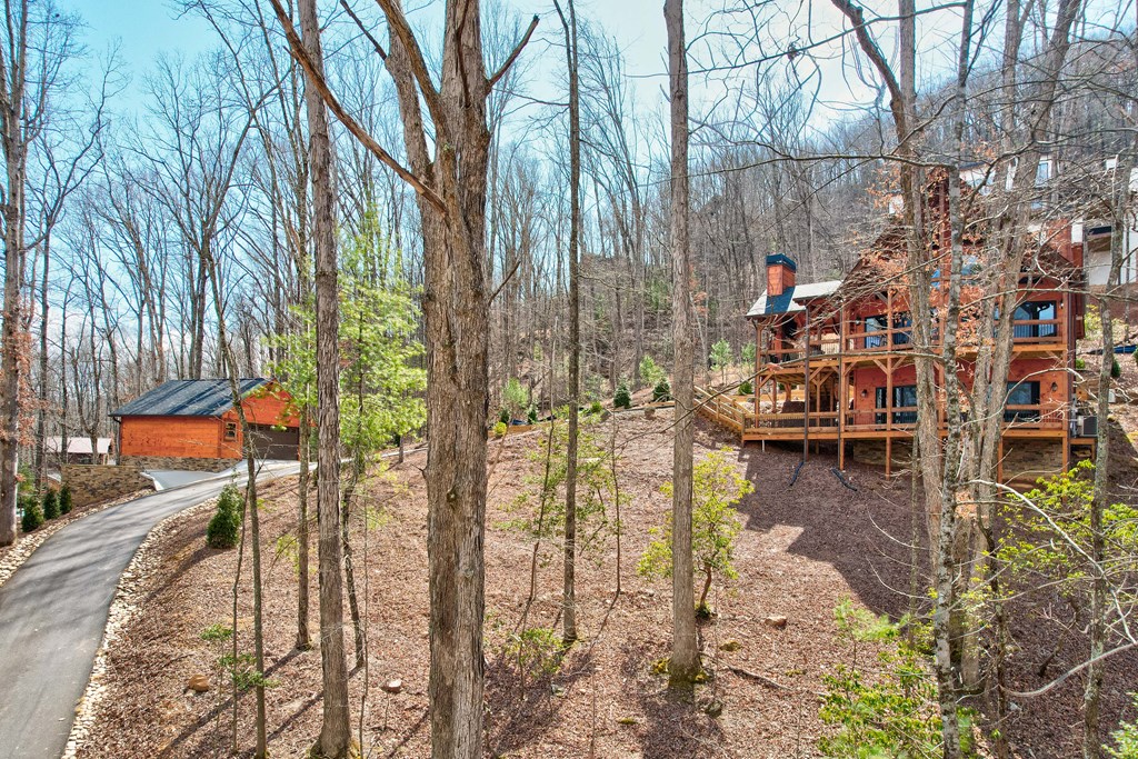 1601 Shady Falls Road Blue Ridge, GA 30513 - Photo 4 of 78 a view of residential houses with outdoor space