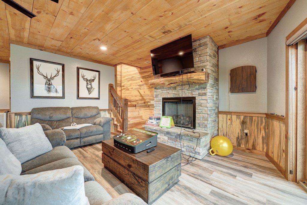 1601 Shady Falls Road Blue Ridge, GA 30513 - Photo 50 of 78 a living room with furniture a fireplace and a flat screen tv
