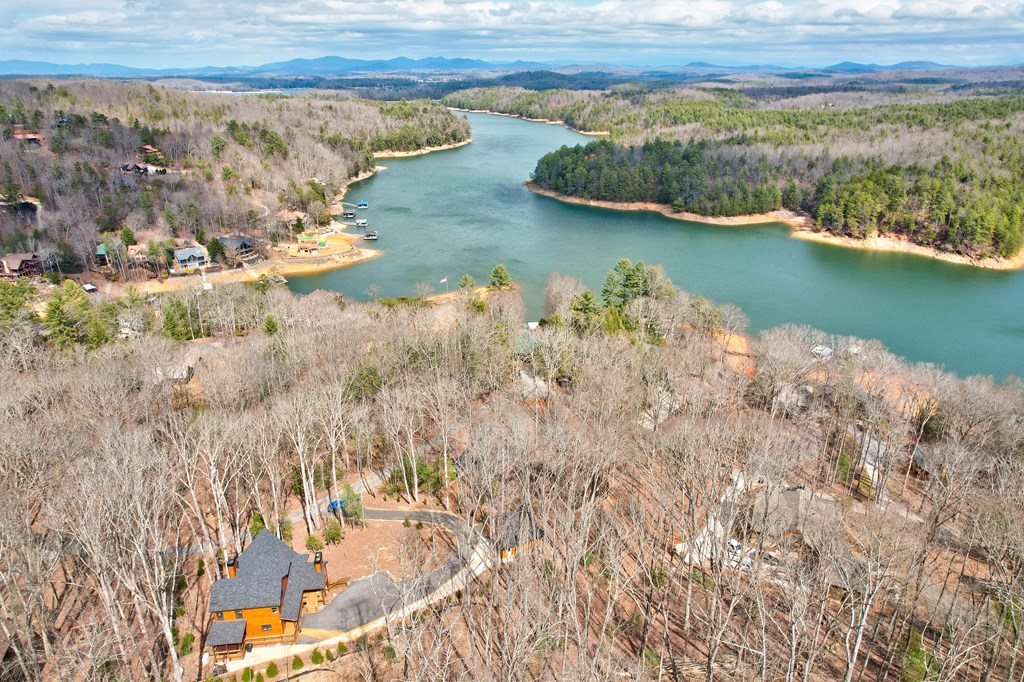 1601 Shady Falls Road Blue Ridge, GA 30513 - Photo 6 of 78 a view of lake and mountain