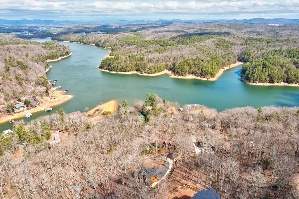 1601 Shady Falls Road Blue Ridge, GA 30513 - Photo 75 of 78