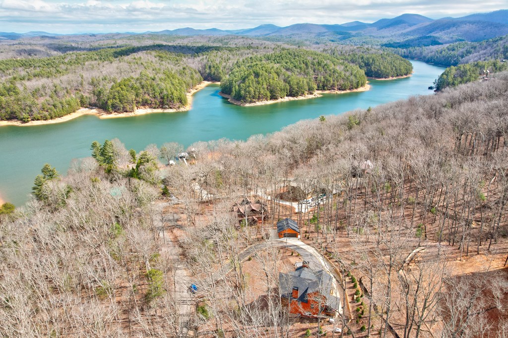 1601 Shady Falls Road Blue Ridge, GA 30513 - Photo 76 of 78