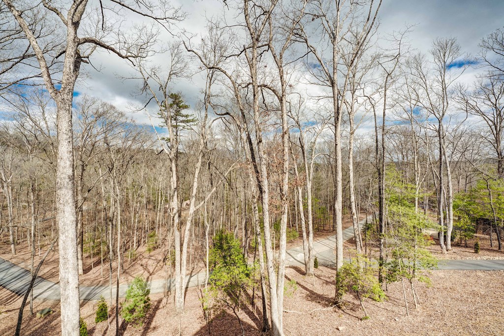 1601 Shady Falls Road Blue Ridge, GA 30513 - Photo 10 of 78 a view of a yard with plants and trees