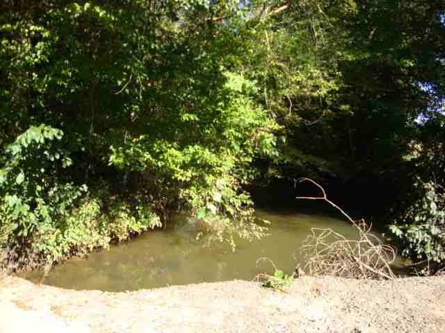 0 Highway 11 & Ridge Road, Unit 22 23 ACRES Salem, SC 29676 - Photo 11 of 12 Gallery Image 11