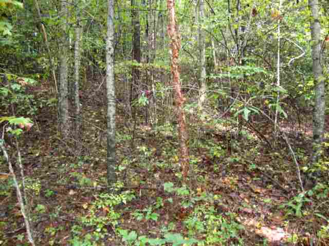 0 Highway 11 & Ridge Road, Unit 22 23 ACRES Salem, SC 29676 - Photo 3 of 12 Gallery Image 3