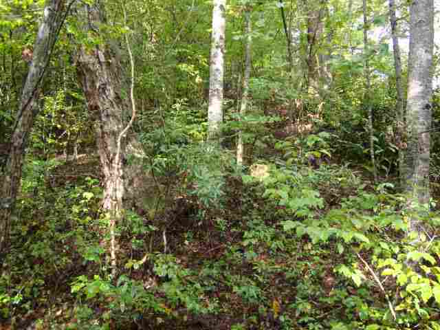 0 Highway 11 & Ridge Road, Unit 22 23 ACRES Salem, SC 29676 - Photo 4 of 12 Gallery Image 4