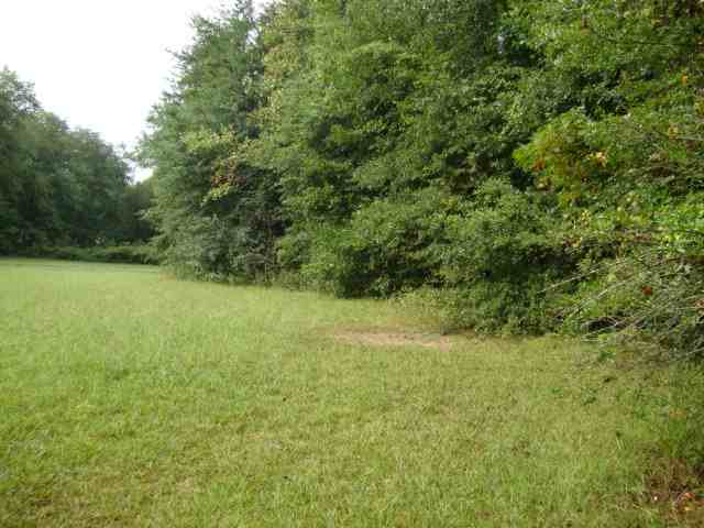 0 Highway 11 & Ridge Road, Unit 22 23 ACRES Salem, SC 29676 - Photo 5 of 12 Gallery Image 5