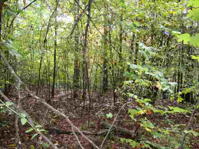 0 Highway 11 & Ridge Road, Unit 22 23 ACRES Salem, SC 29676 - Photo 6 of 12 Gallery Image 6