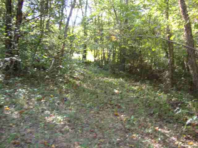 0 Highway 11 & Ridge Road, Unit 22 23 ACRES Salem, SC 29676 - Photo 9 of 12 Gallery Image 9
