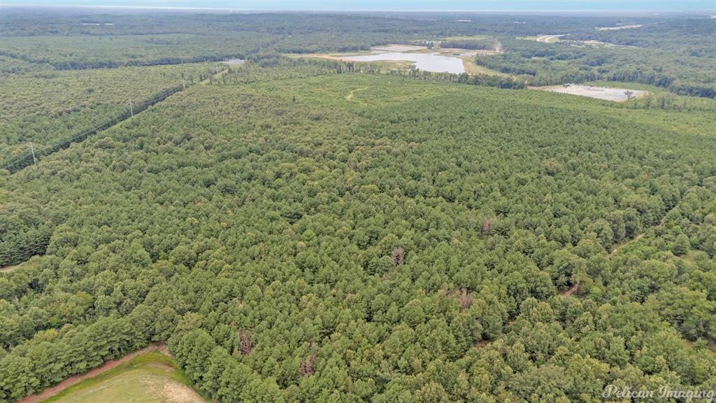 0 David Raines Road Shreveport, LA 71107 - Photo 6 of 17