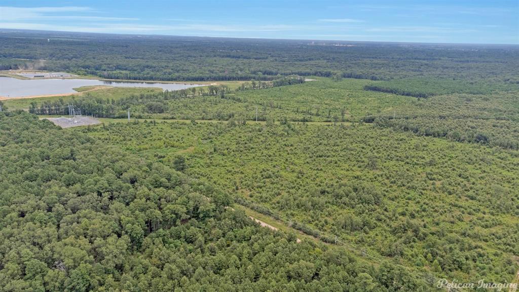 0 David Raines Road Shreveport, LA 71107 - Photo 9 of 17