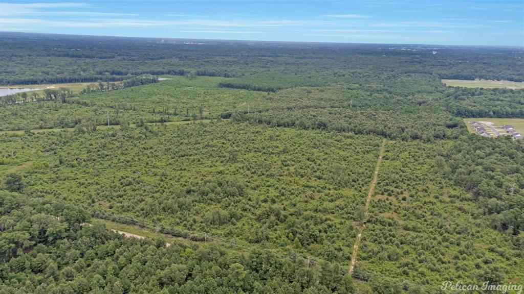 0 David Raines Road Shreveport, LA 71107 - Photo 10 of 17