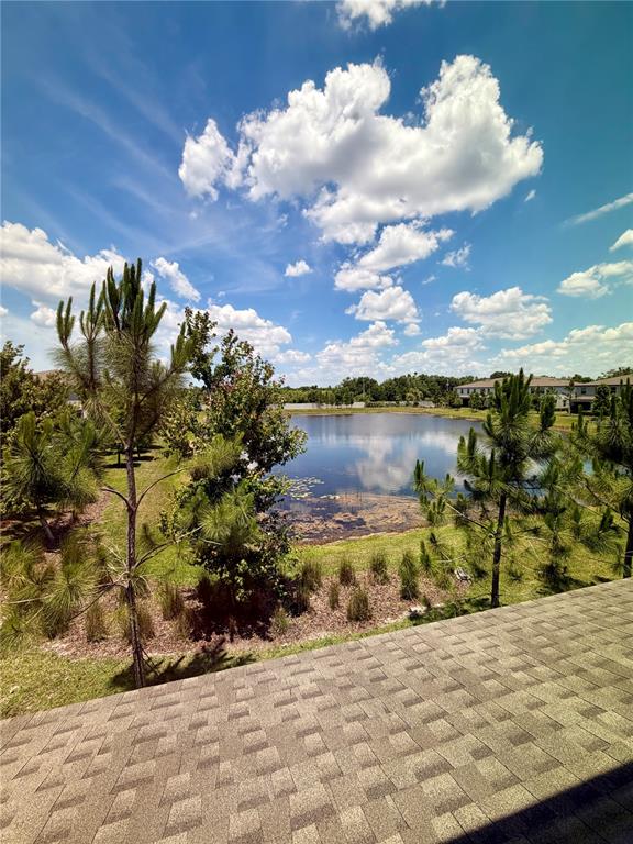 11826 Dumaine Valley Road Riverview, FL 33579 - Photo 37 of 54 a view of a pathway with a yard
