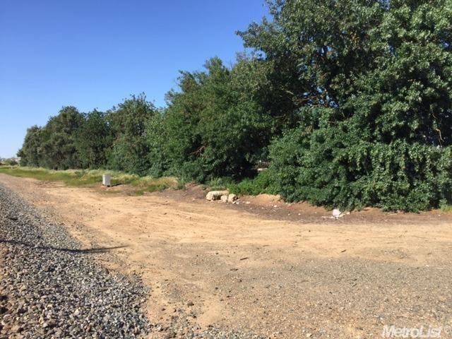 9040 Elk Grove Florin Road Elk Grove, CA 95624 - Photo 8 of 12 a view of a yard with a tree