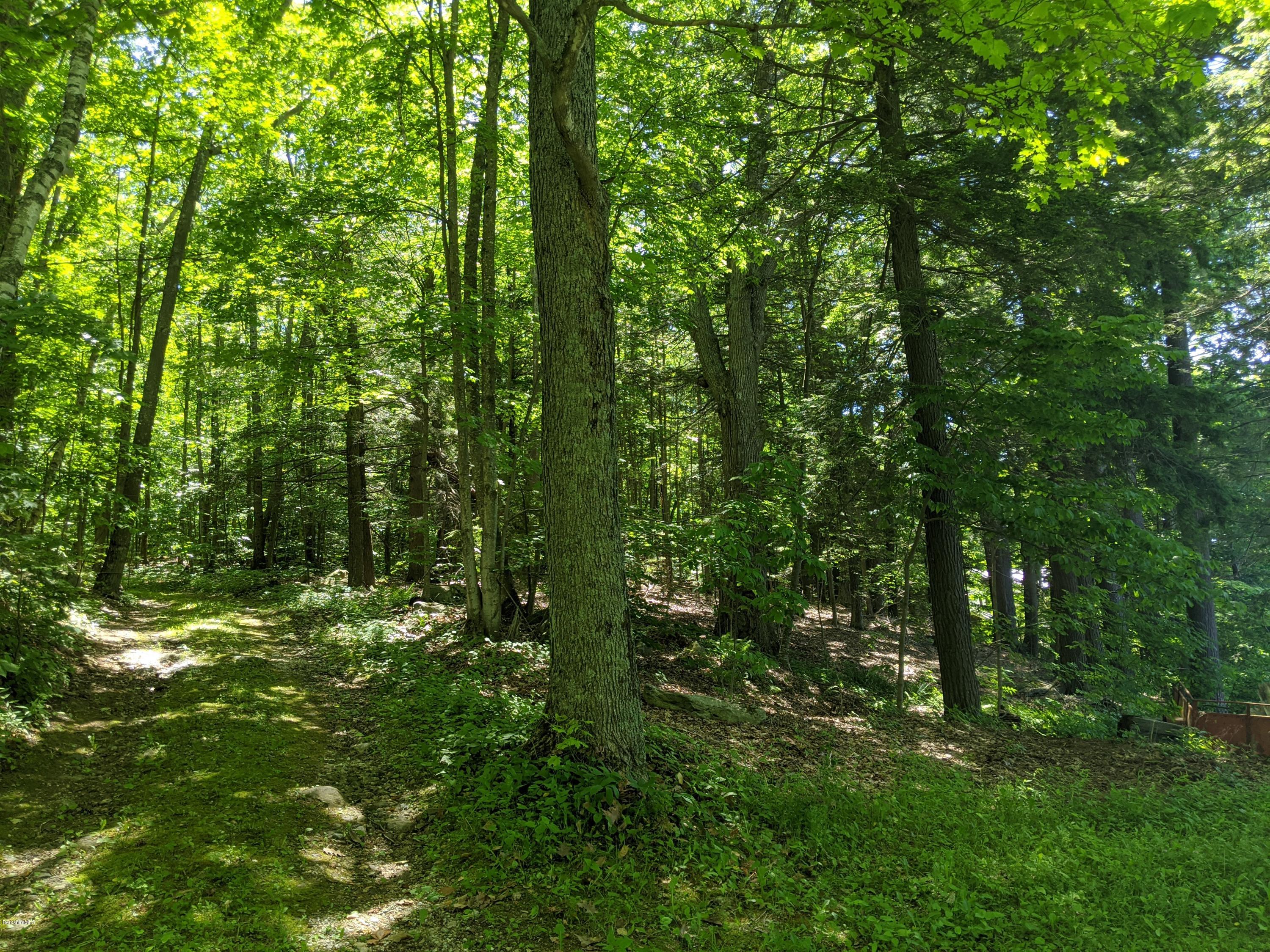 3626 Jacobs Ladder Road Becket, MA 01223 - Photo 11 of 56 a view of a lush green forest