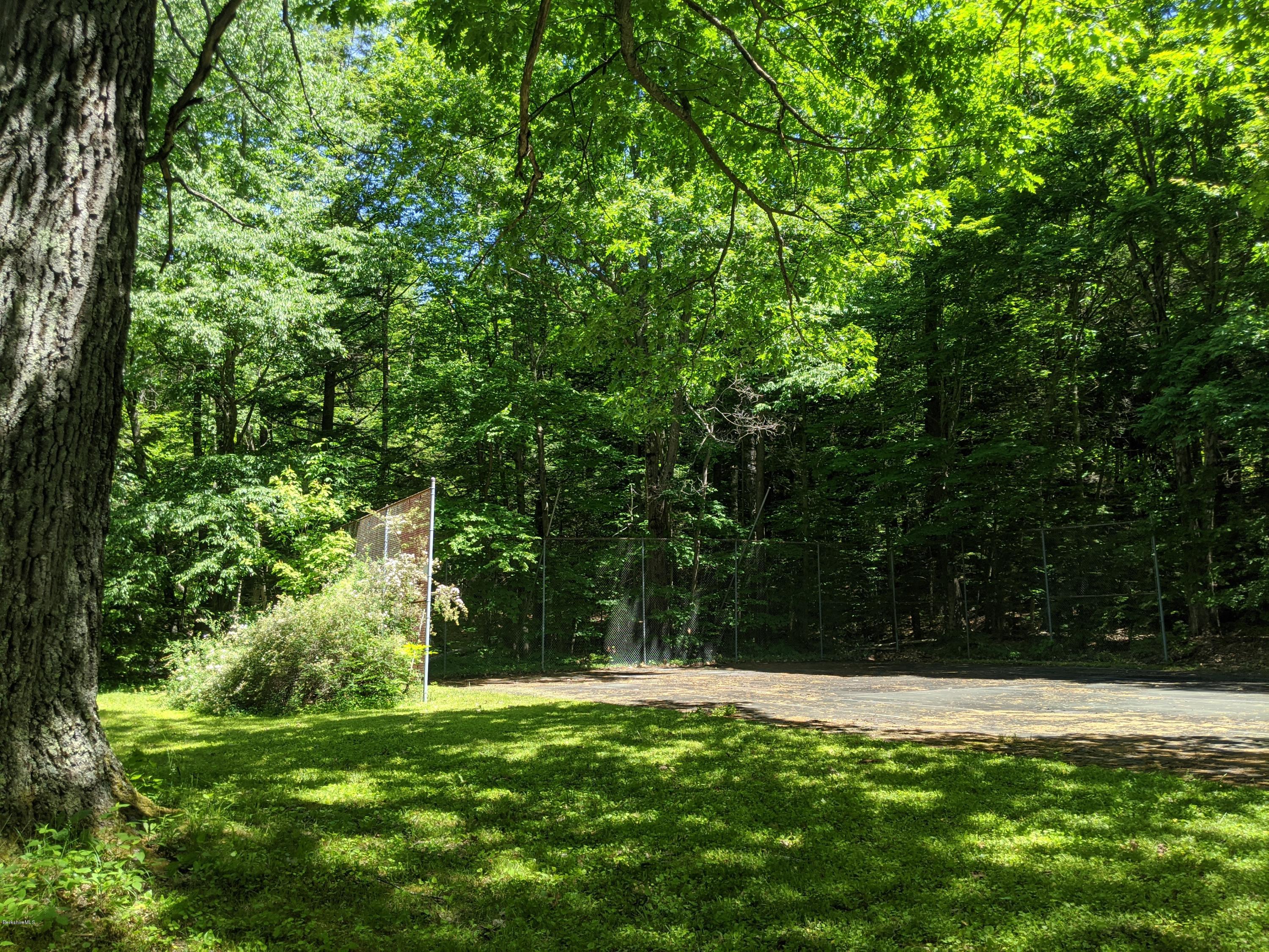 3626 Jacobs Ladder Road Becket, MA 01223 - Photo 53 of 56 a backyard of a house with lots of green space