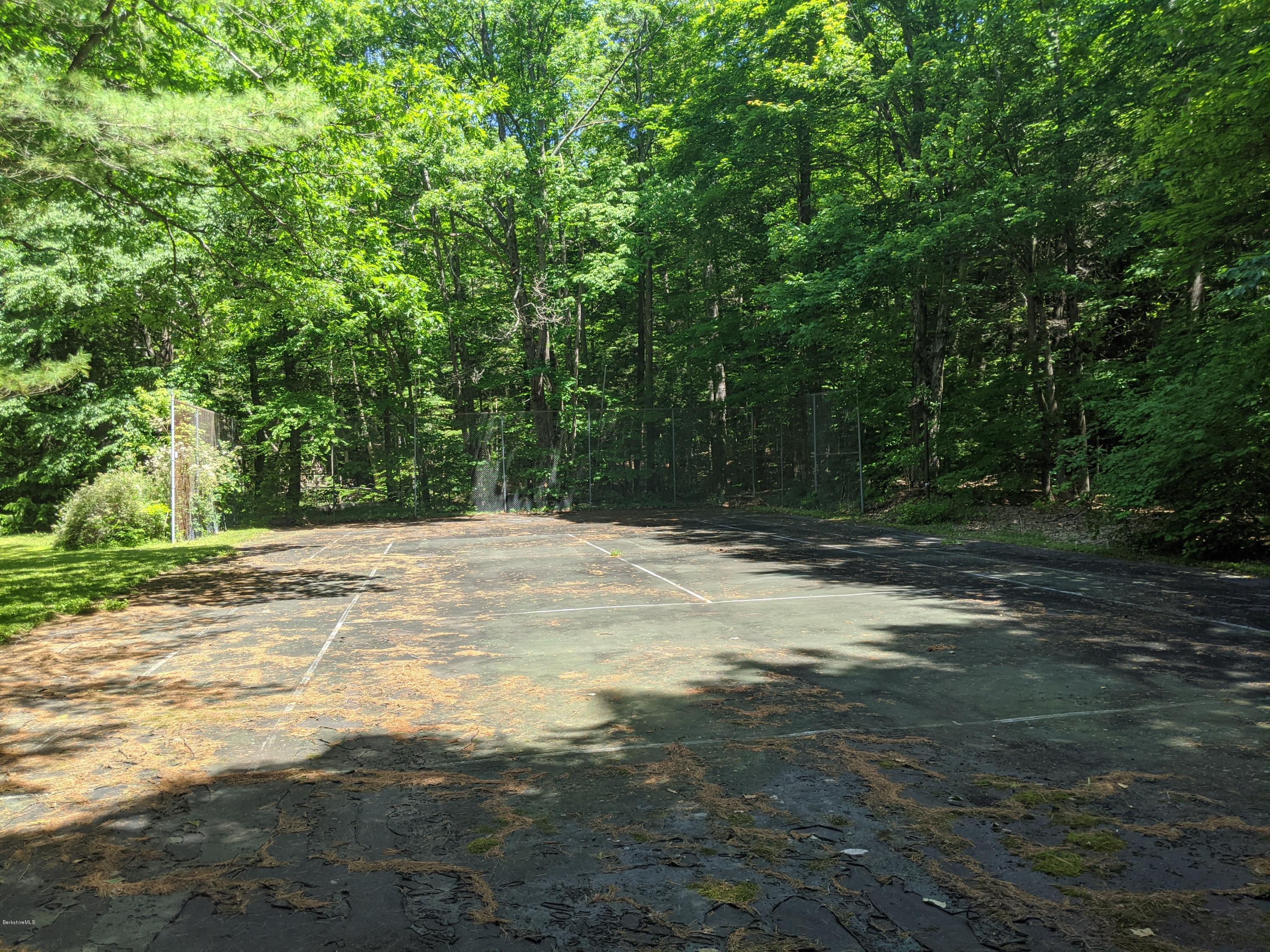 3626 Jacobs Ladder Road Becket, MA 01223 - Photo 54 of 56 a view of a yard with a tree