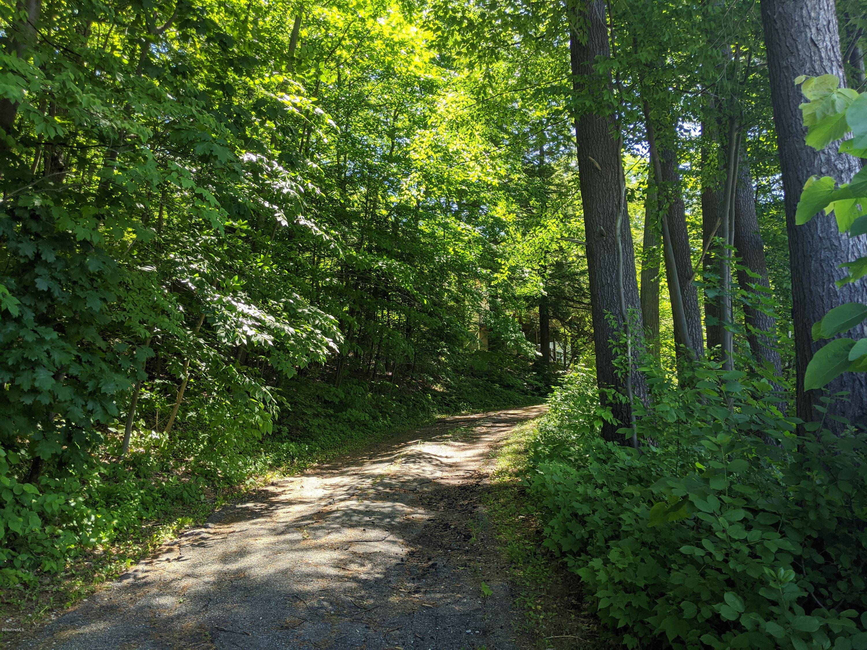 3626 Jacobs Ladder Road Becket, MA 01223 - Photo 10 of 56 a view of outdoor space and trees all around