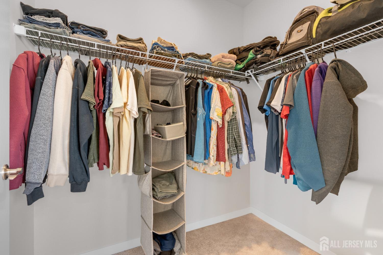 237 Lorhan Drive, Unit 237 Piscataway, NJ 08854 - Photo 17 of 44 a view of walk in closet with clothes and shoes