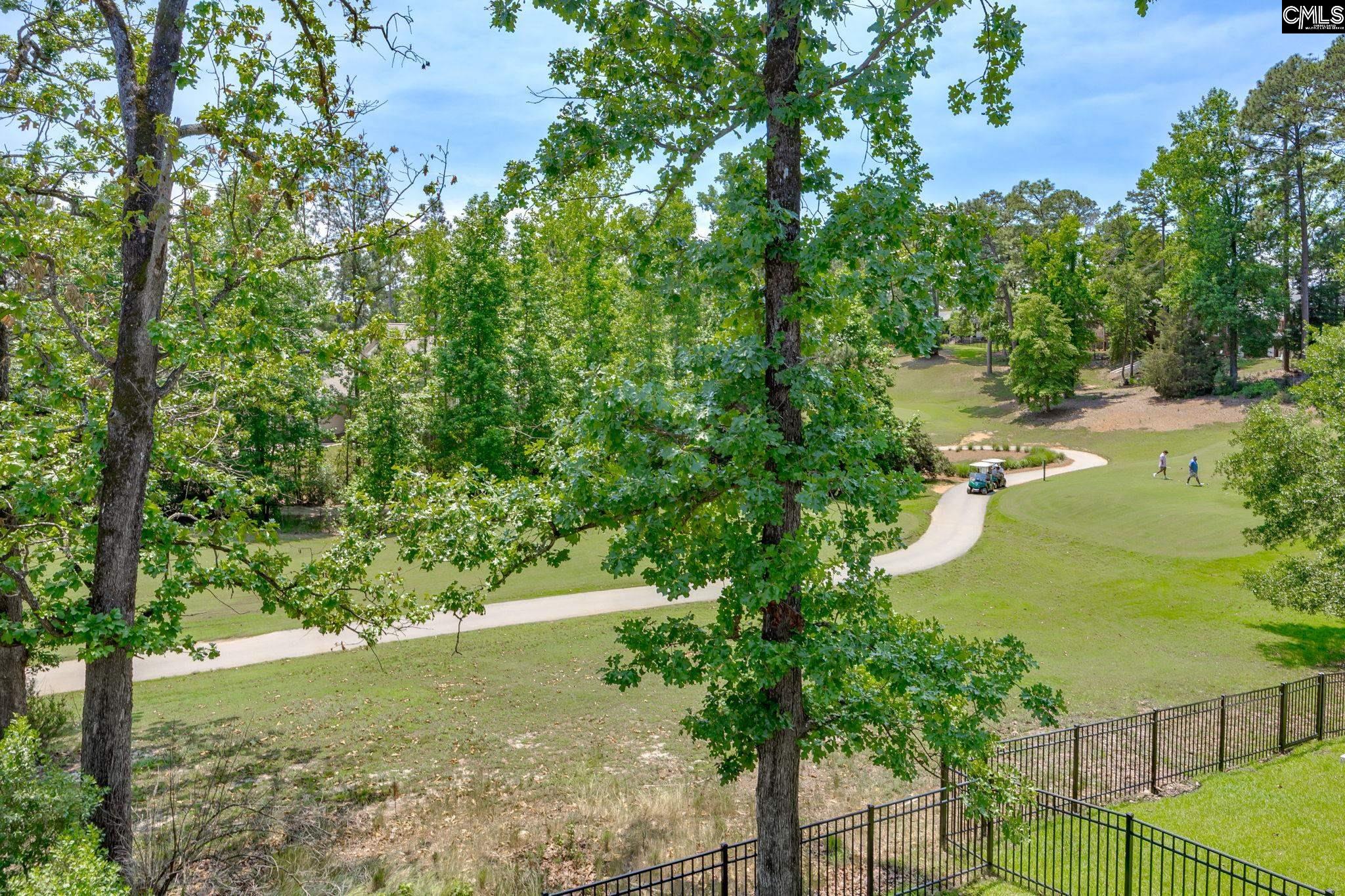 163 Highgate Lane Chapin, SC 29036 - Photo 51 of 59