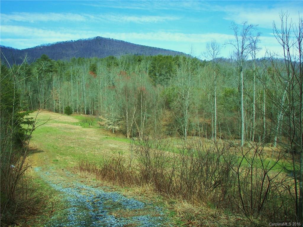 646 Burgess Road, Unit NONE Mill Spring, NC 28756 - Photo 1 of 10