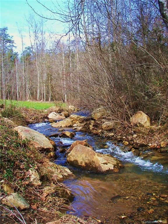646 Burgess Road, Unit NONE Mill Spring, NC 28756 - Photo 2 of 10