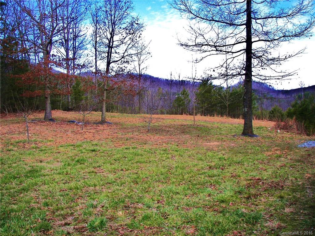 646 Burgess Road, Unit NONE Mill Spring, NC 28756 - Photo 3 of 10