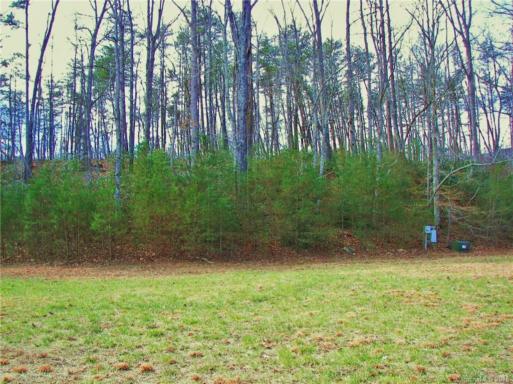 646 Burgess Road, Unit NONE Mill Spring, NC 28756 - Photo 6 of 10