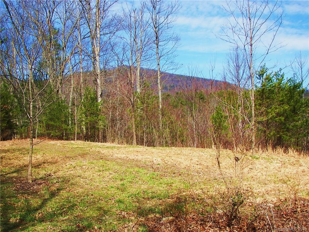 646 Burgess Road, Unit NONE Mill Spring, NC 28756 - Photo 7 of 10