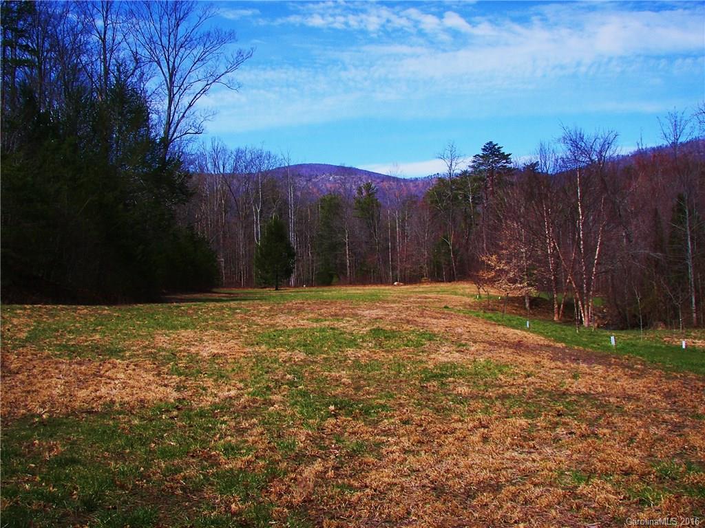 646 Burgess Road, Unit NONE Mill Spring, NC 28756 - Photo 8 of 10