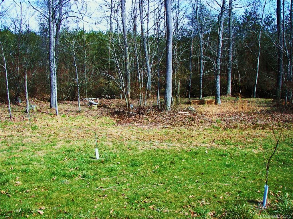 646 Burgess Road, Unit NONE Mill Spring, NC 28756 - Photo 9 of 10