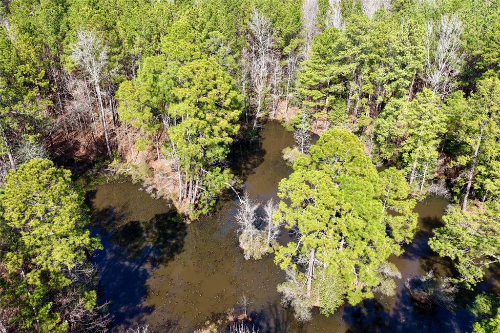0 State Line Road Texarkana, TX 75501 - Photo 11 of 40 a picture of flowers