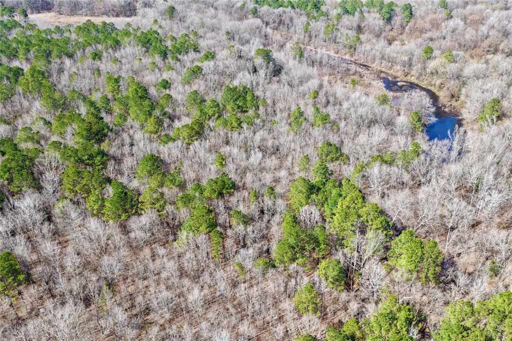 0 State Line Road Texarkana, TX 75501 - Photo 12 of 40 a view of a plants in a garden