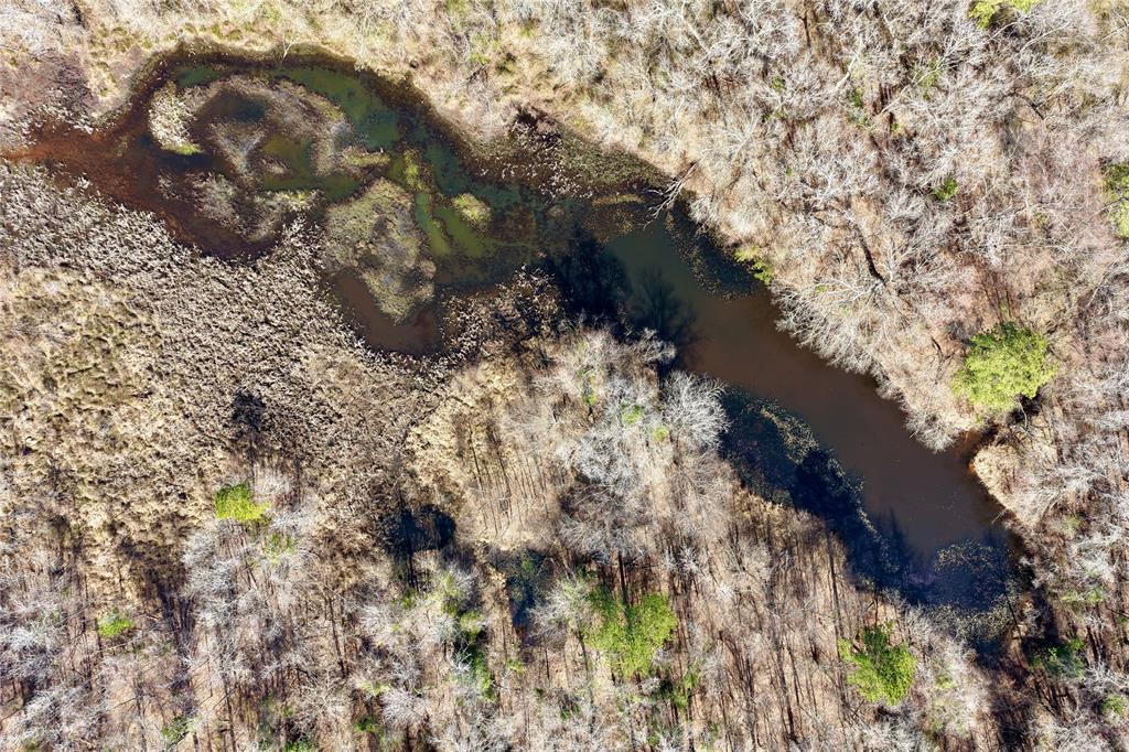 0 State Line Road Texarkana, TX 75501 - Photo 15 of 40 a view of a tree in a yard