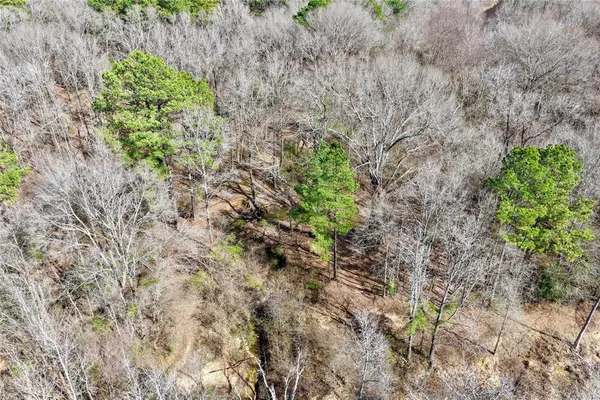 a aerial view of a yard