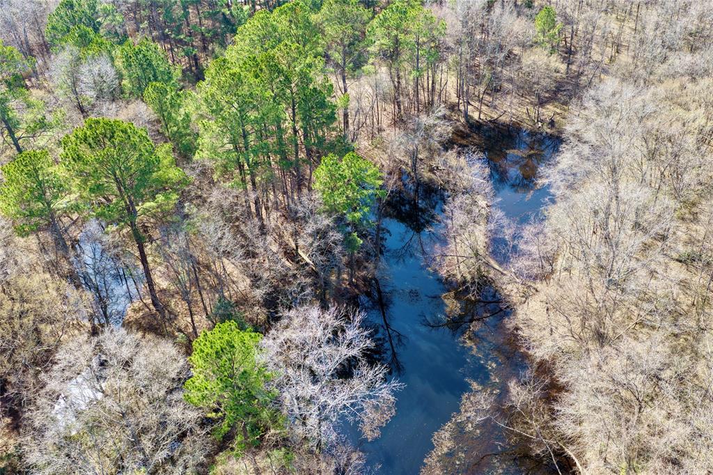 0 State Line Road Texarkana, TX 75501 - Photo 22 of 40 a view of a yard with plants and a tree