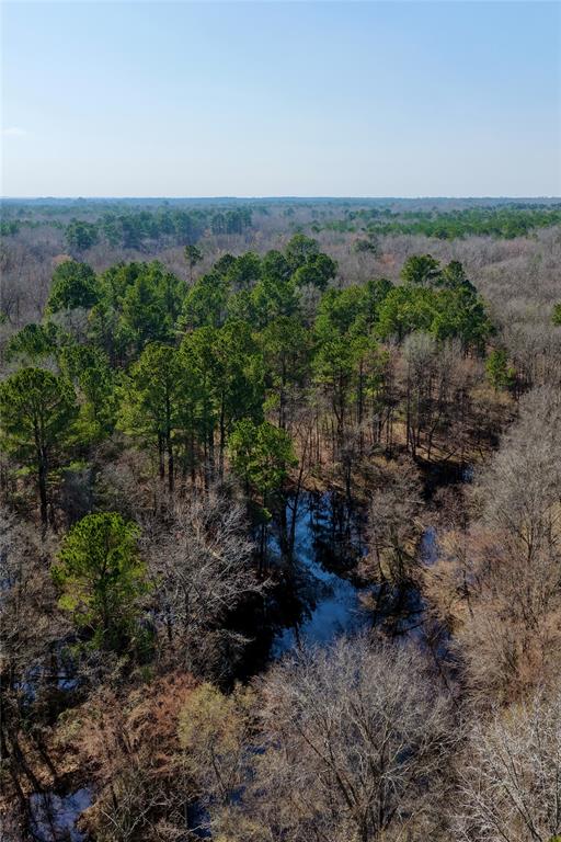 0 State Line Road Texarkana, TX 75501 - Photo 23 of 40 a view of a field with lots of trees