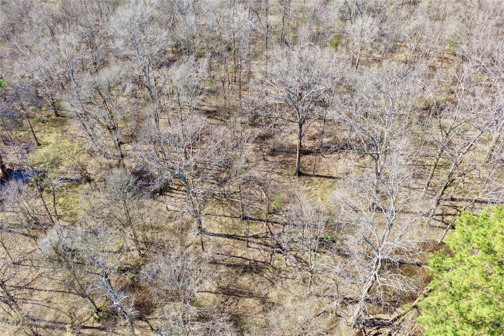 0 State Line Road Texarkana, TX 75501 - Photo 25 of 40 a balcony with a dry trees
