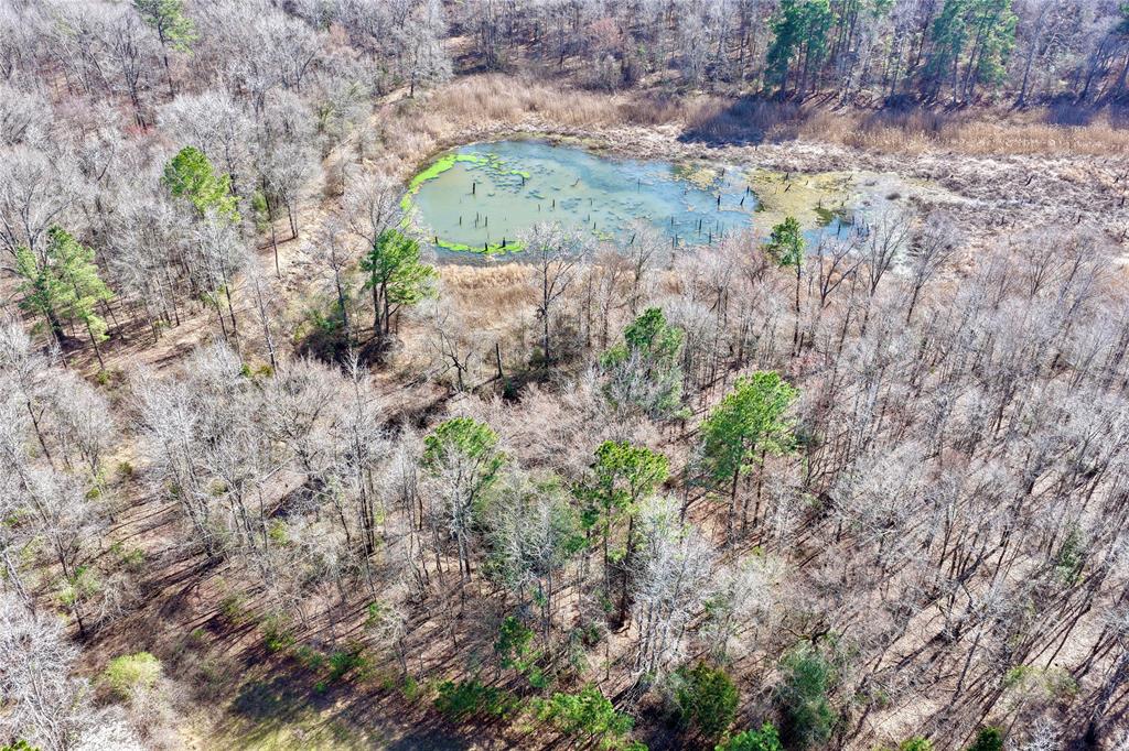 0 State Line Road Texarkana, TX 75501 - Photo 27 of 40 a view of a backyard with plants and large trees