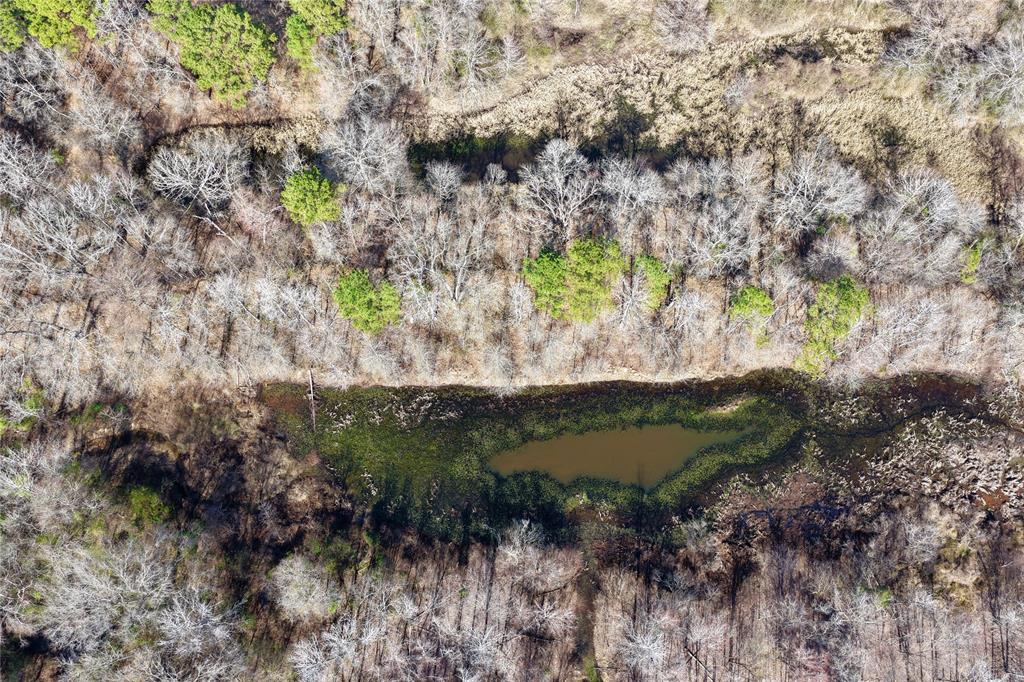 0 State Line Road Texarkana, TX 75501 - Photo 30 of 40 a view of a tree with a yard
