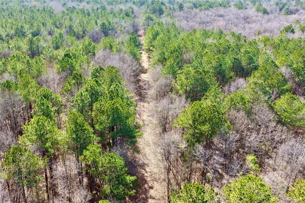 a view of a field with a tree in the background