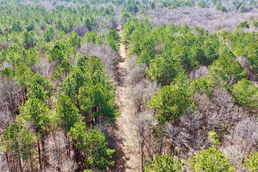 0 State Line Road Texarkana, TX 75501 - Photo 32 of 40 a view of a yard with plants and a bench
