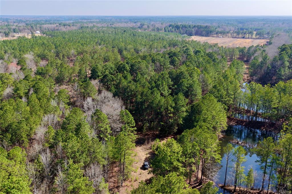 0 State Line Road Texarkana, TX 75501 - Photo 33 of 40 a view of a lush green forest with trees and some houses
