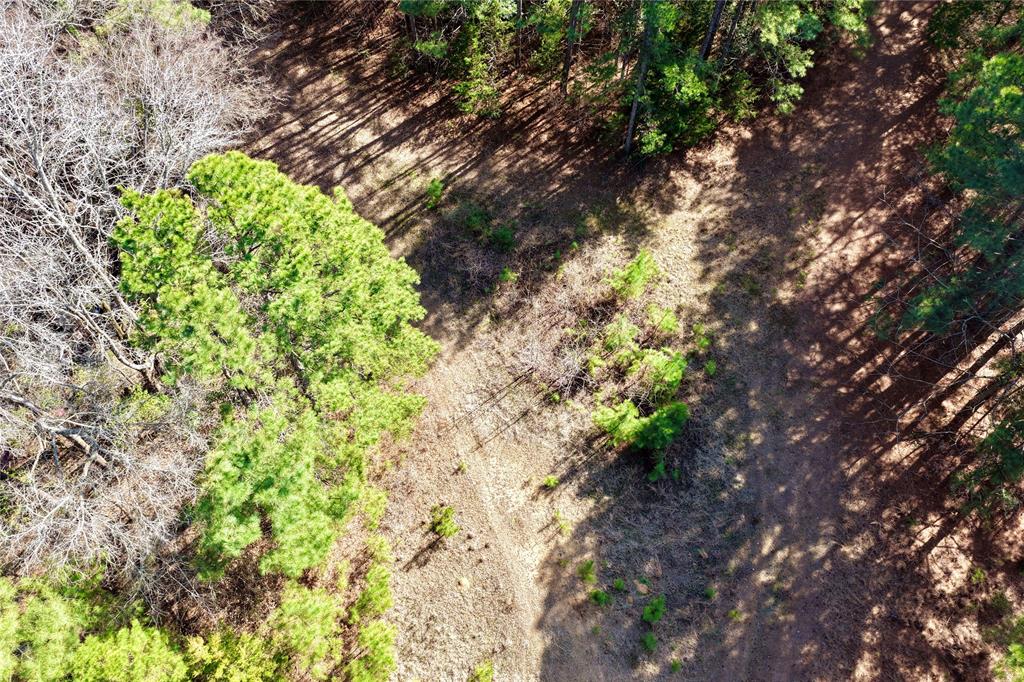 0 State Line Road Texarkana, TX 75501 - Photo 35 of 40 a backyard of a house