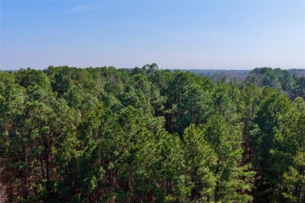 0 State Line Road Texarkana, TX 75501 - Photo 36 of 40 a view of a field with a tree in the background