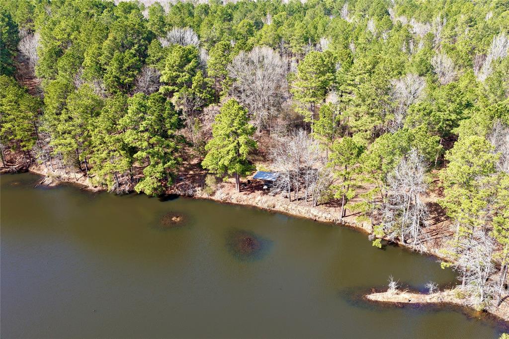 0 State Line Road Texarkana, TX 75501 - Photo 5 of 40 a view of a lake with a tree