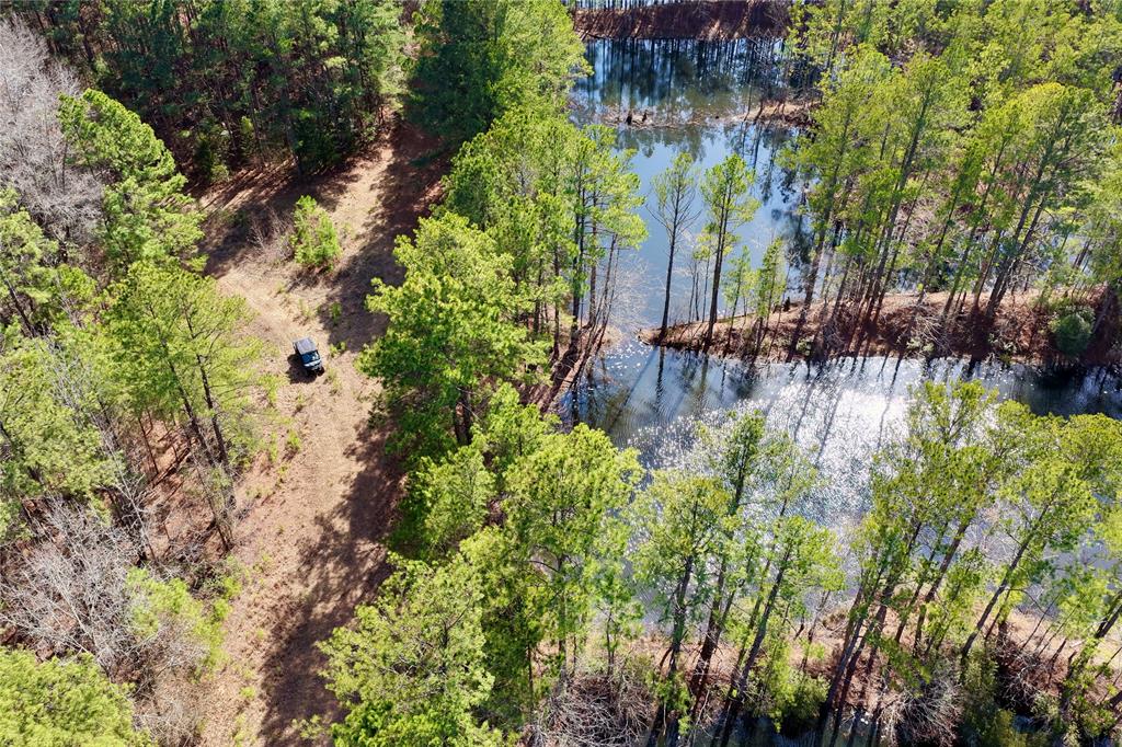 0 State Line Road Texarkana, TX 75501 - Photo 6 of 40 a backyard of a house with lots of green space and chair